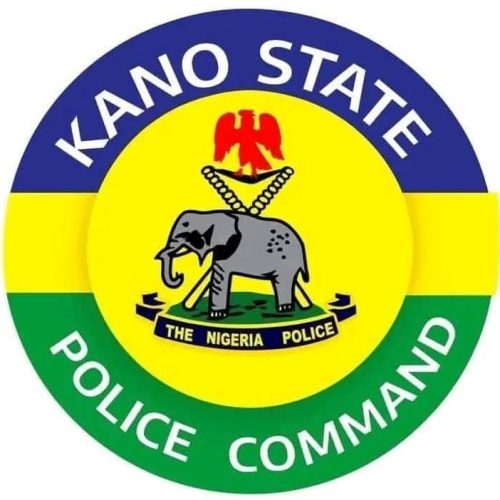 Kano police arrest suspect over inflammatory statement