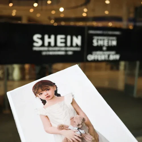 France threatens to ban e-commerce giant, Shein for selling s3x dolls with a childlike appearance
