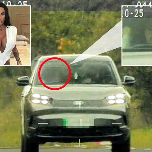 Former glamour model Katie Price banned from driving for seventh time over 80mph speeding ticket and not responding to police