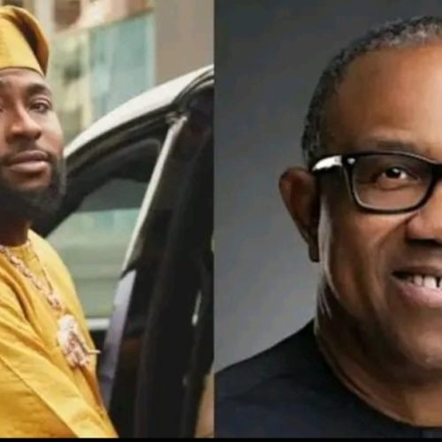 “None of them can try it” — Davido challenges Nigerian politicians after Peter Obi explains source of wealth