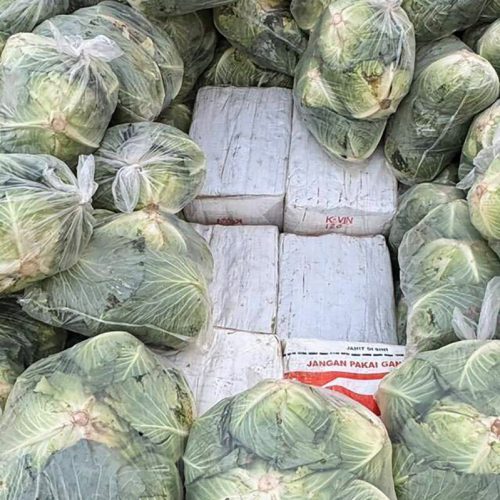 Thai police seize 1.6 tonnes of drugs hidden under cabbages (Photos)