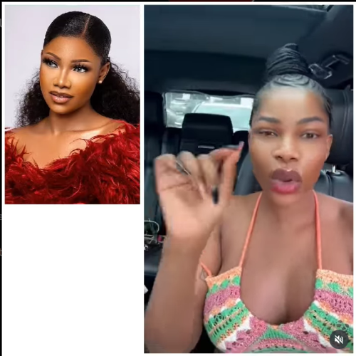 Former BBNaija star Tacha begs Aviation Minister Festus Keyamo to reduce punishment for Ibom Air passenger Comfort
